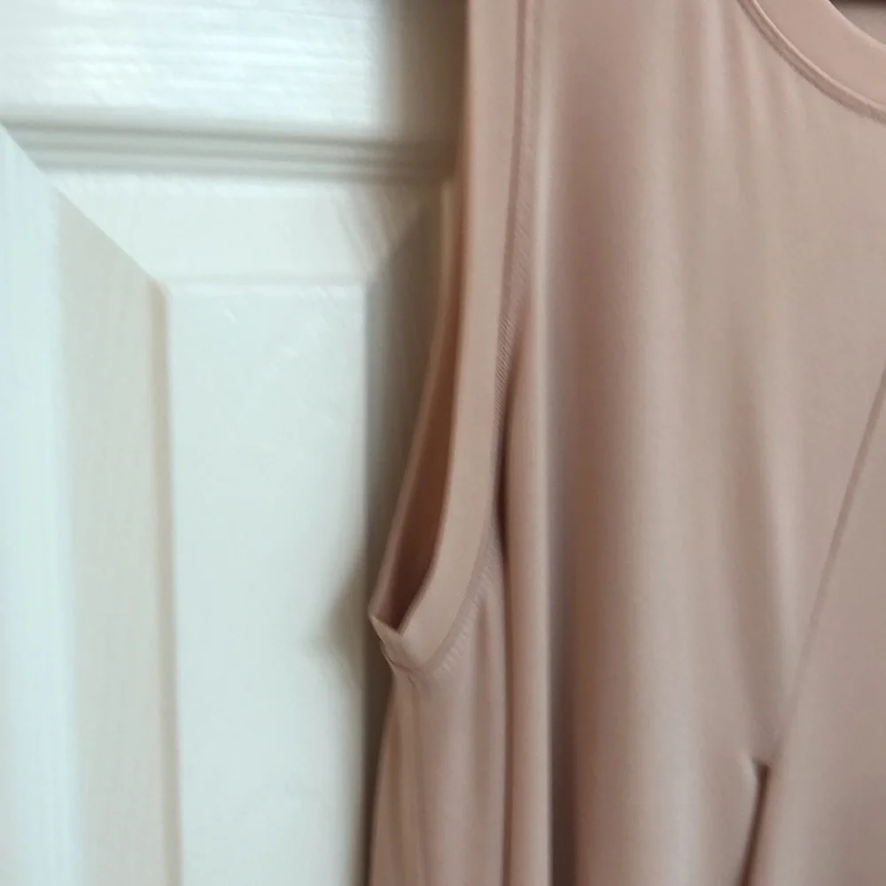 BCBGMAXAZRIA Blush Dress - Picture 5 of 8